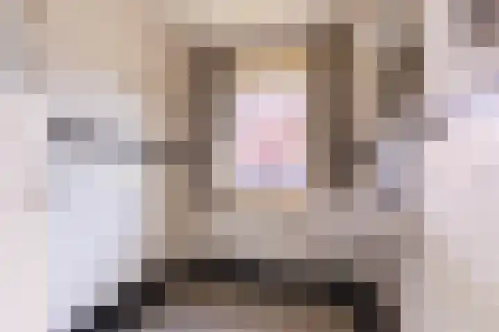 Valeriuslaan 5 Driehuis NH thumbnail 25