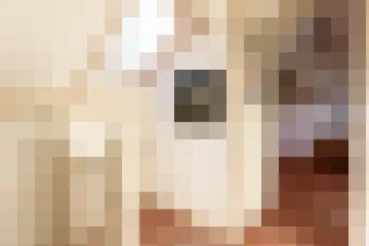 Valeriuslaan 5 Driehuis NH thumbnail 27