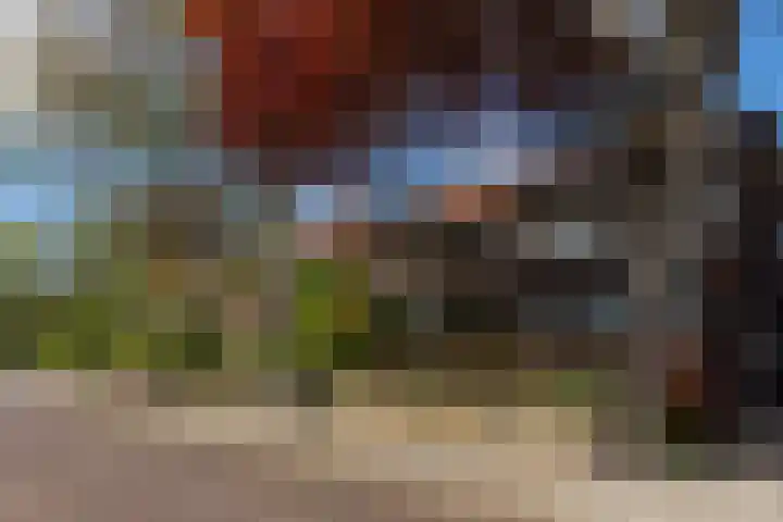 Valeriuslaan 5 Driehuis NH thumbnail 30