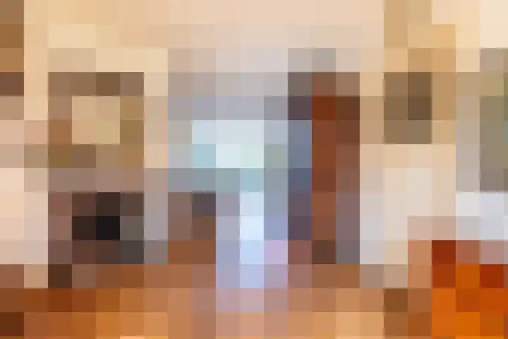 Valeriuslaan 5 Driehuis NH thumbnail 4