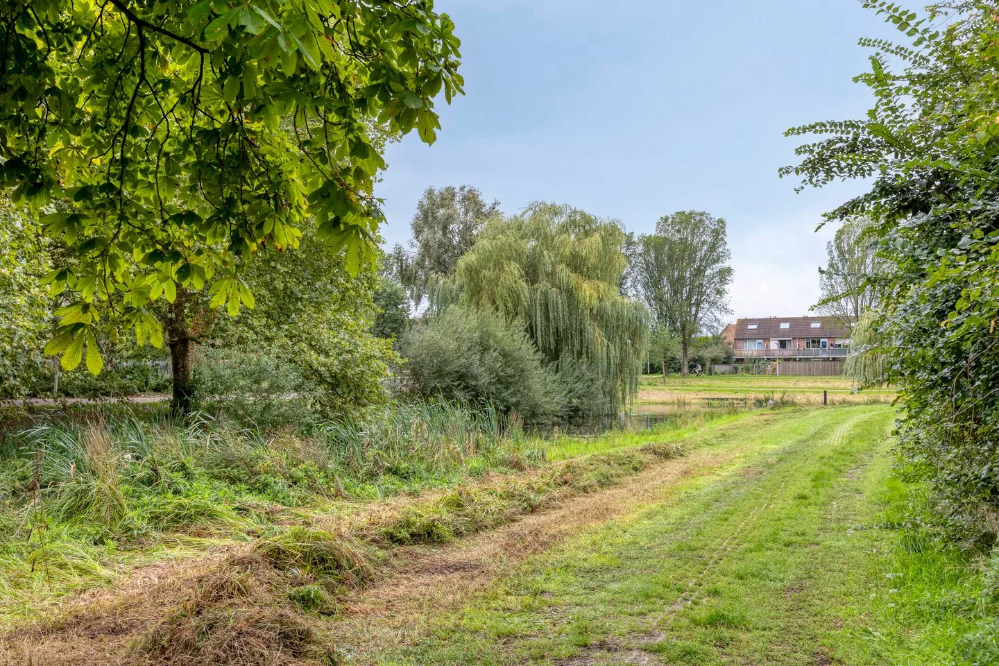 Valeriuslaan 5 Roosendaal thumbnail 36
