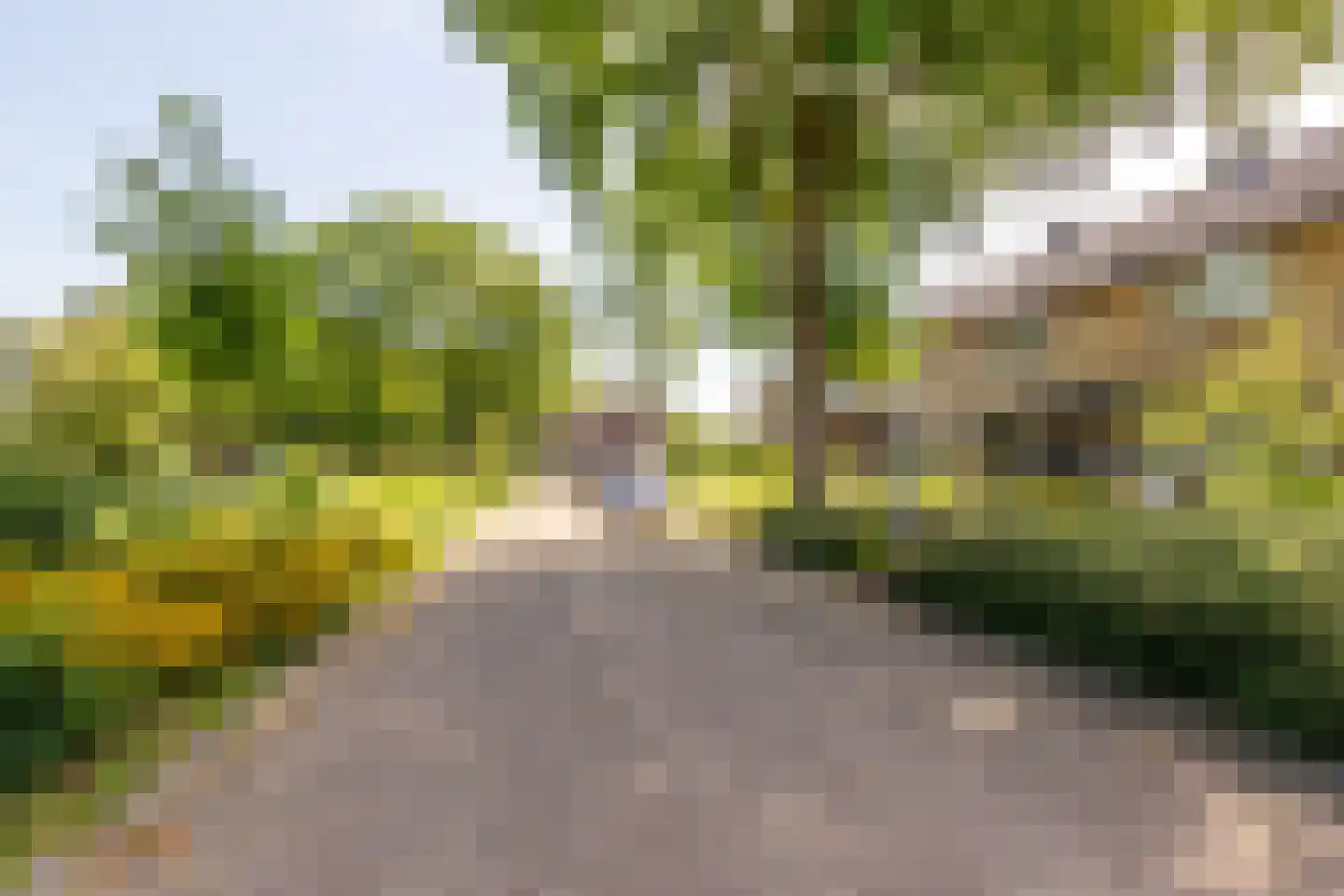 Valeriuslaan 6 Harderwijk thumbnail 39