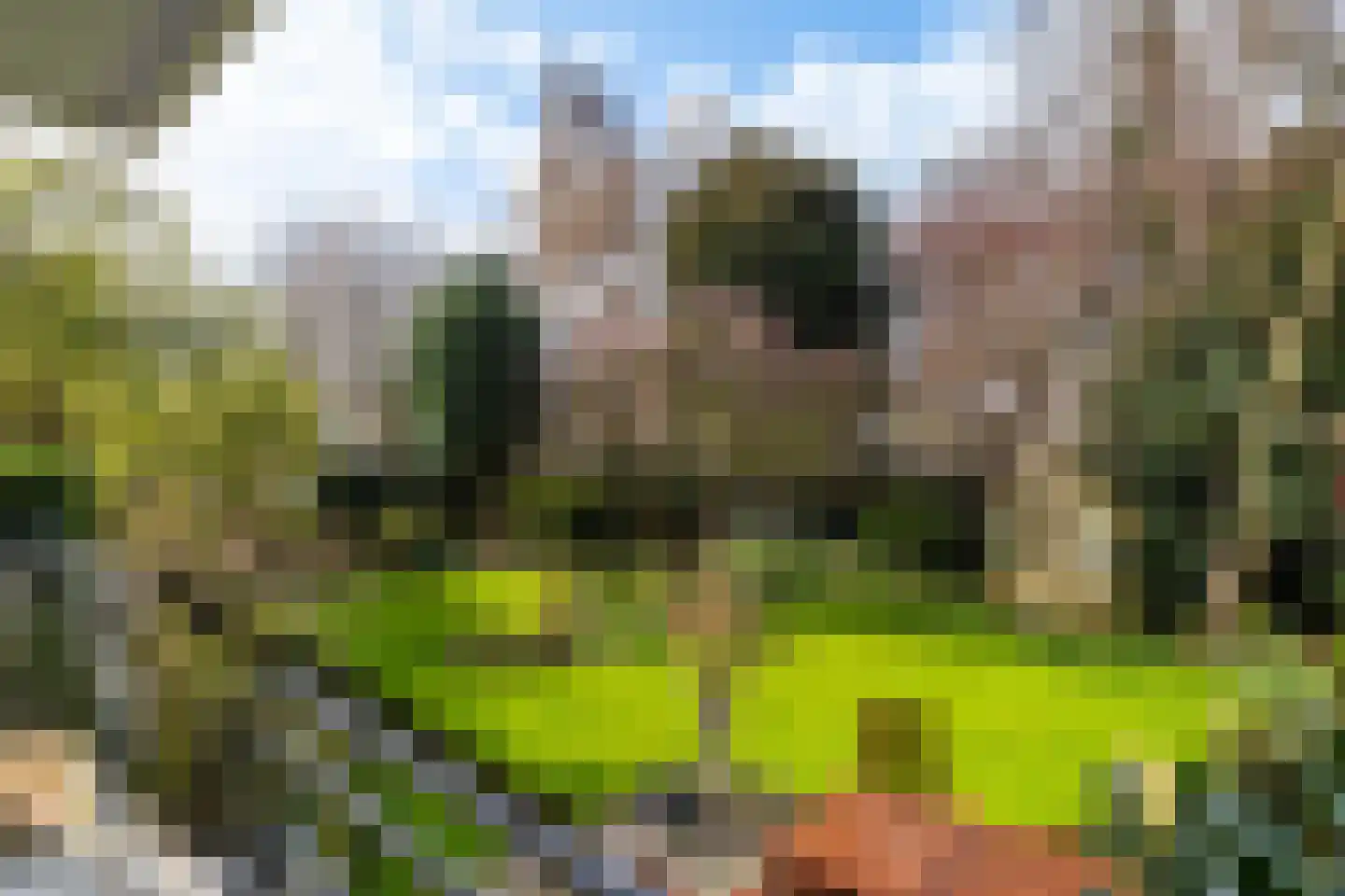 Valeriuspad 10 Rotterdam thumbnail 12