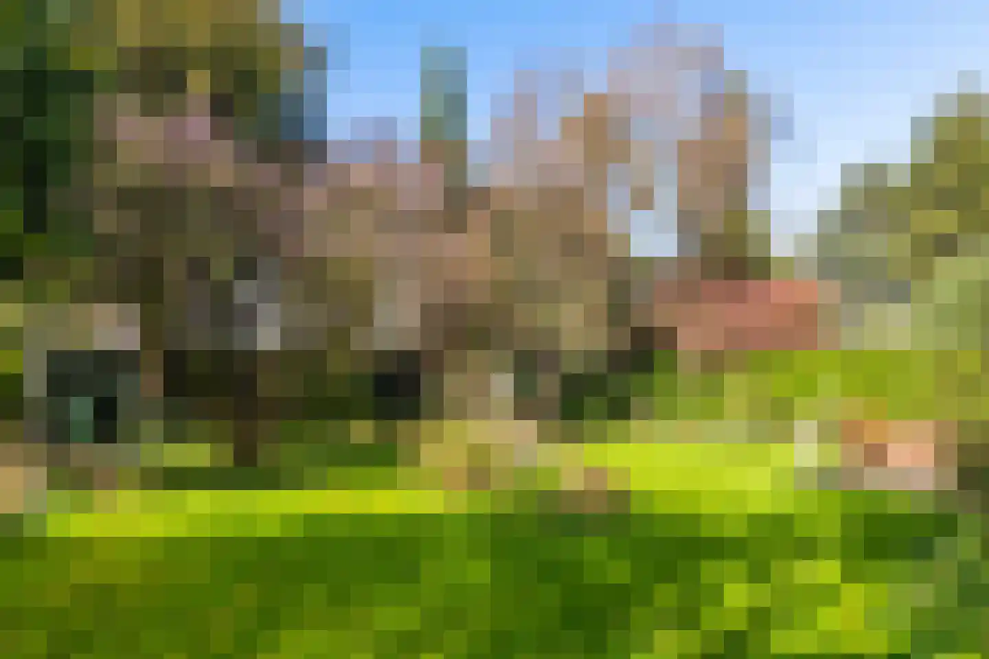 Valeriuspad 10 Rotterdam thumbnail 13