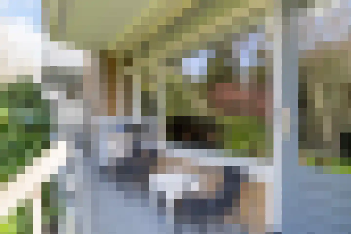 Valeriuspad 10 Rotterdam thumbnail 16