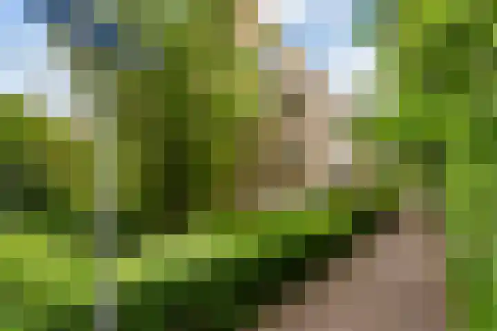 Valeriuspad 12 Rotterdam thumbnail 19