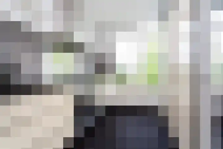 Valeriuspad 12 Rotterdam thumbnail 4
