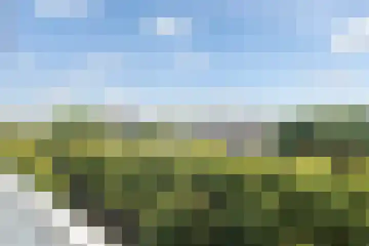 Valeriusplein 114 Alphen aan den Rijn thumbnail 7