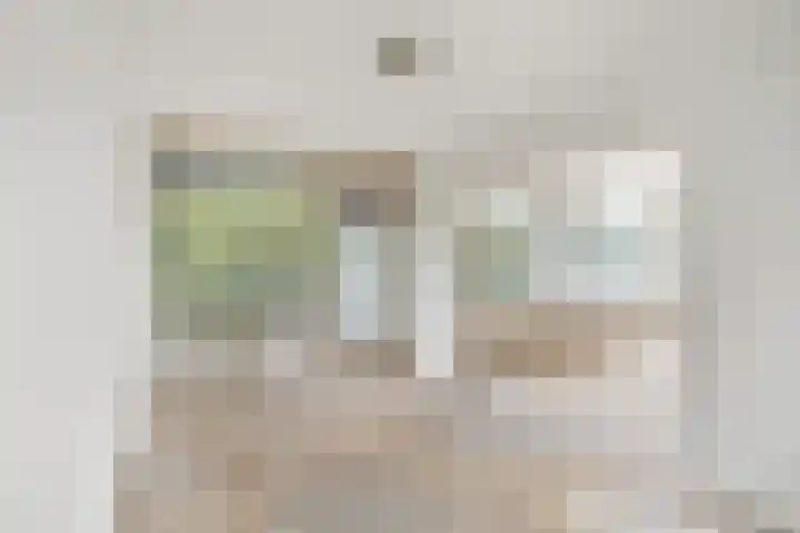 Valeriusplein 134 Alphen aan den Rijn thumbnail 4