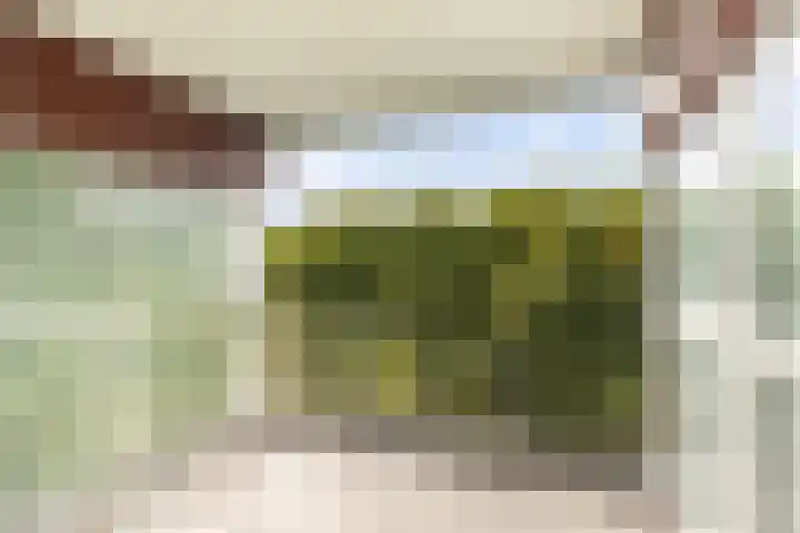 Valeriusplein 134 Alphen aan den Rijn thumbnail 6