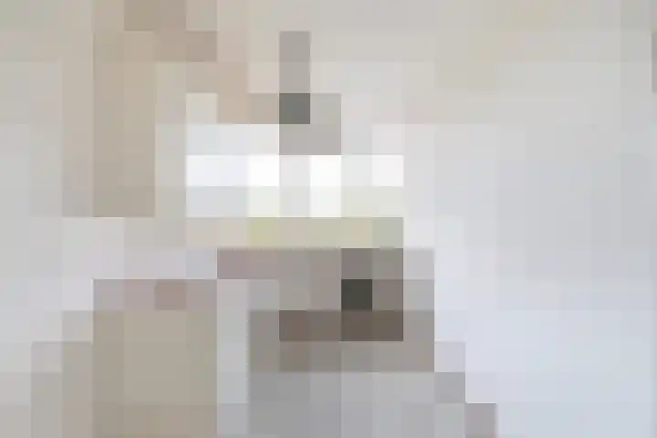 Valeriusplein 134 Alphen aan den Rijn thumbnail 7