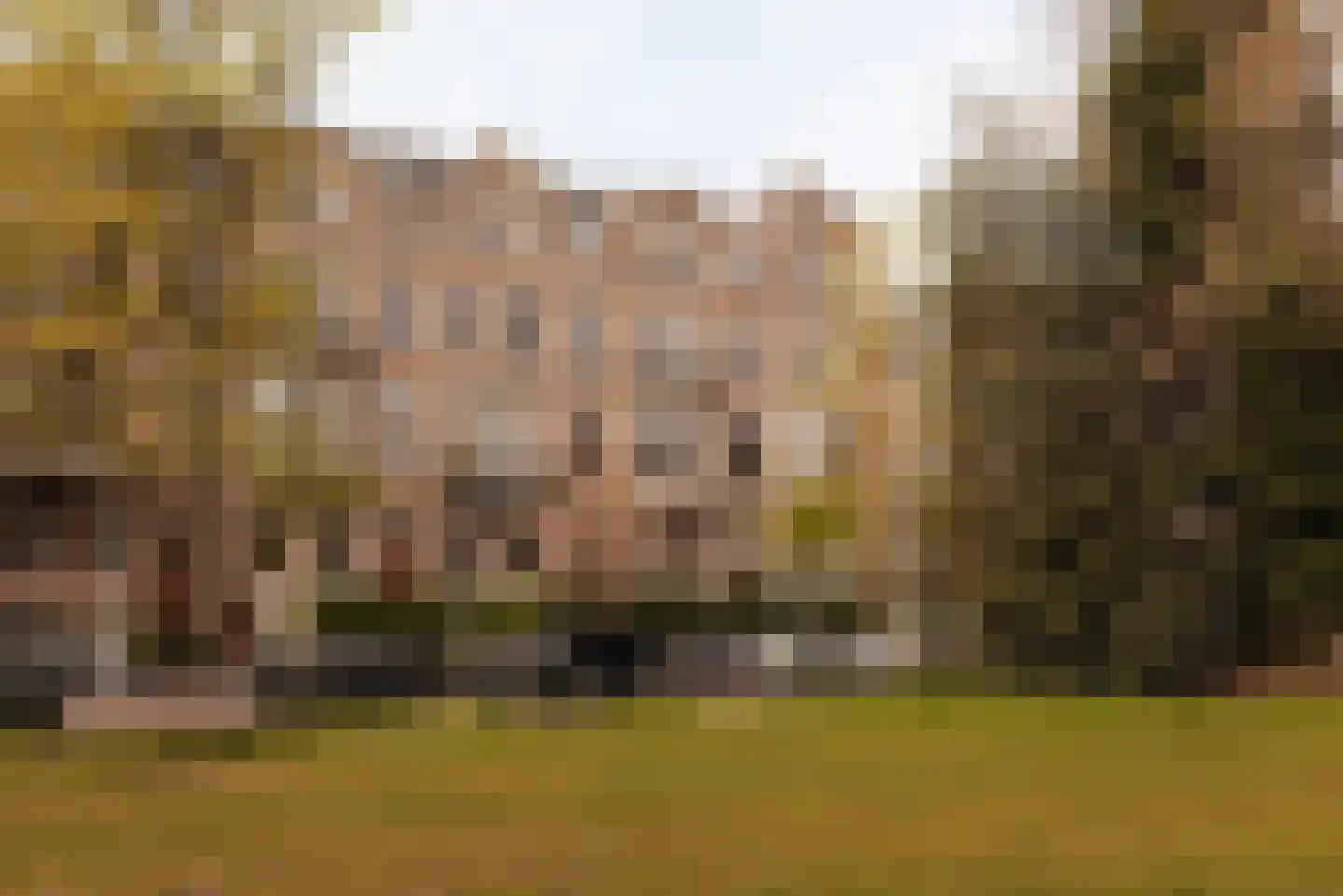 Valeriusplein 14 B Amsterdam thumbnail 30