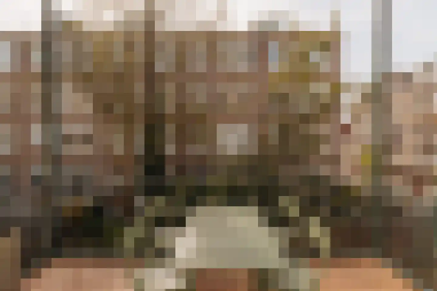Valeriusplein 14 B Amsterdam thumbnail 32