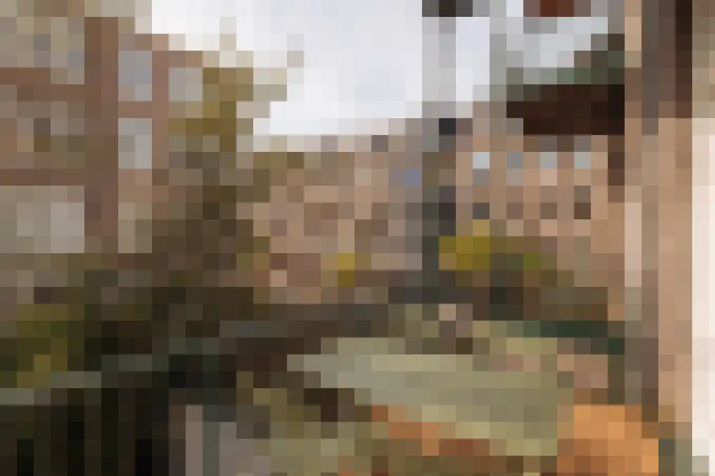 Valeriusplein 14 B Amsterdam thumbnail 33