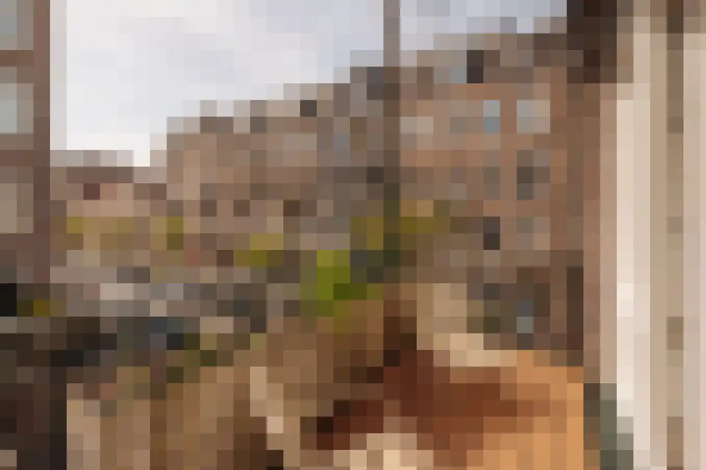 Valeriusplein 14 B Amsterdam thumbnail 35