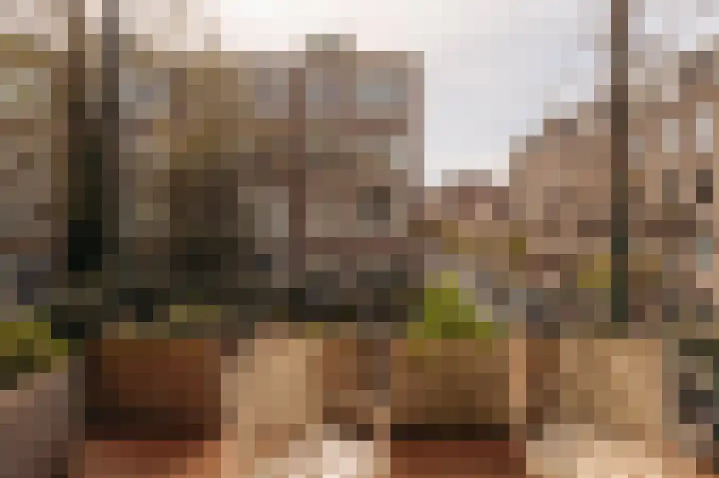 Valeriusplein 14 B Amsterdam thumbnail 36