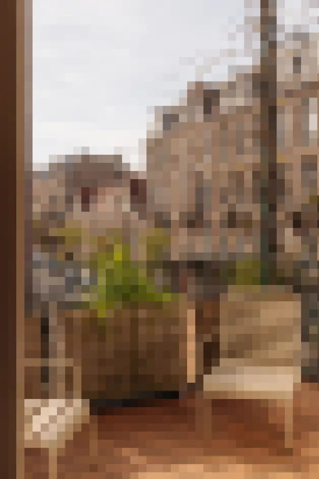 Valeriusplein 14 B Amsterdam thumbnail 37