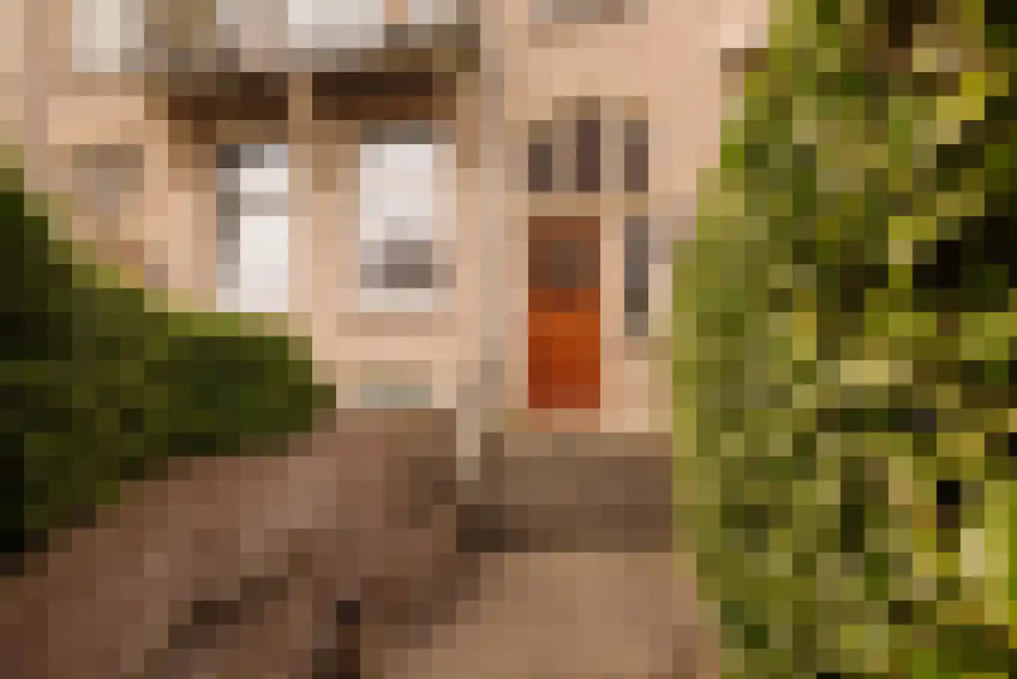 Valeriusplein 14 B Amsterdam thumbnail 6