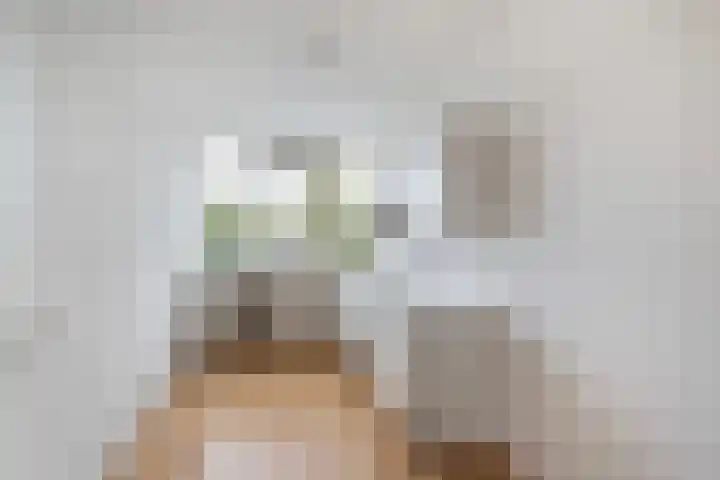 Valeriusplein 160 Alphen aan den Rijn thumbnail 6
