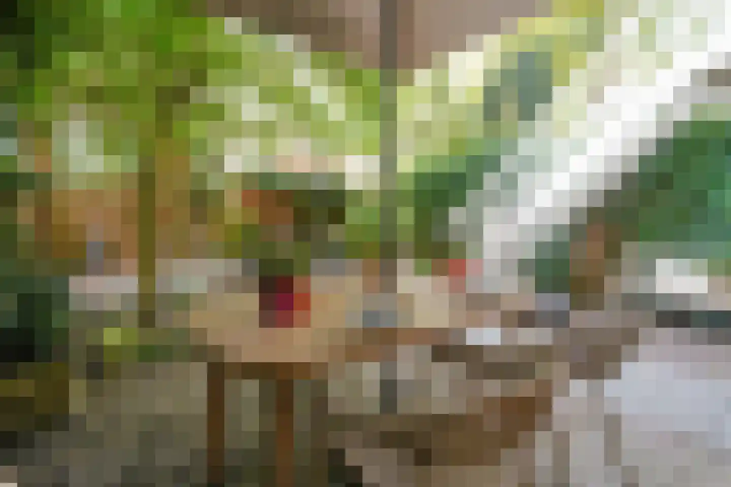 Valeriusplein 24 Amsterdam thumbnail 27
