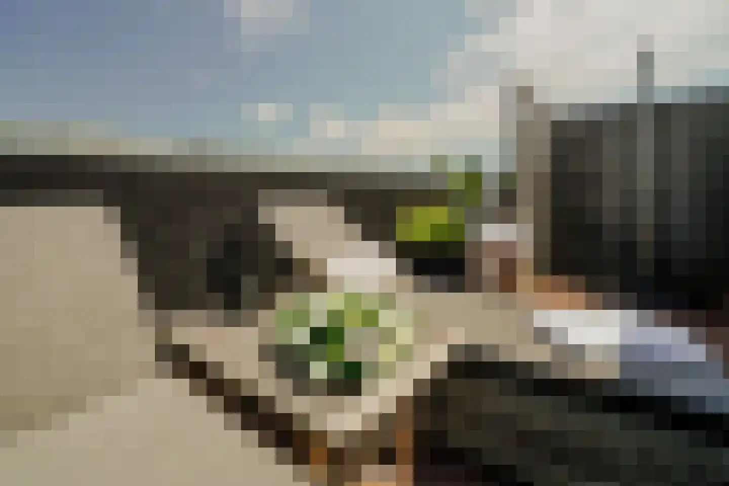 Valeriusplein 24 Amsterdam thumbnail 36