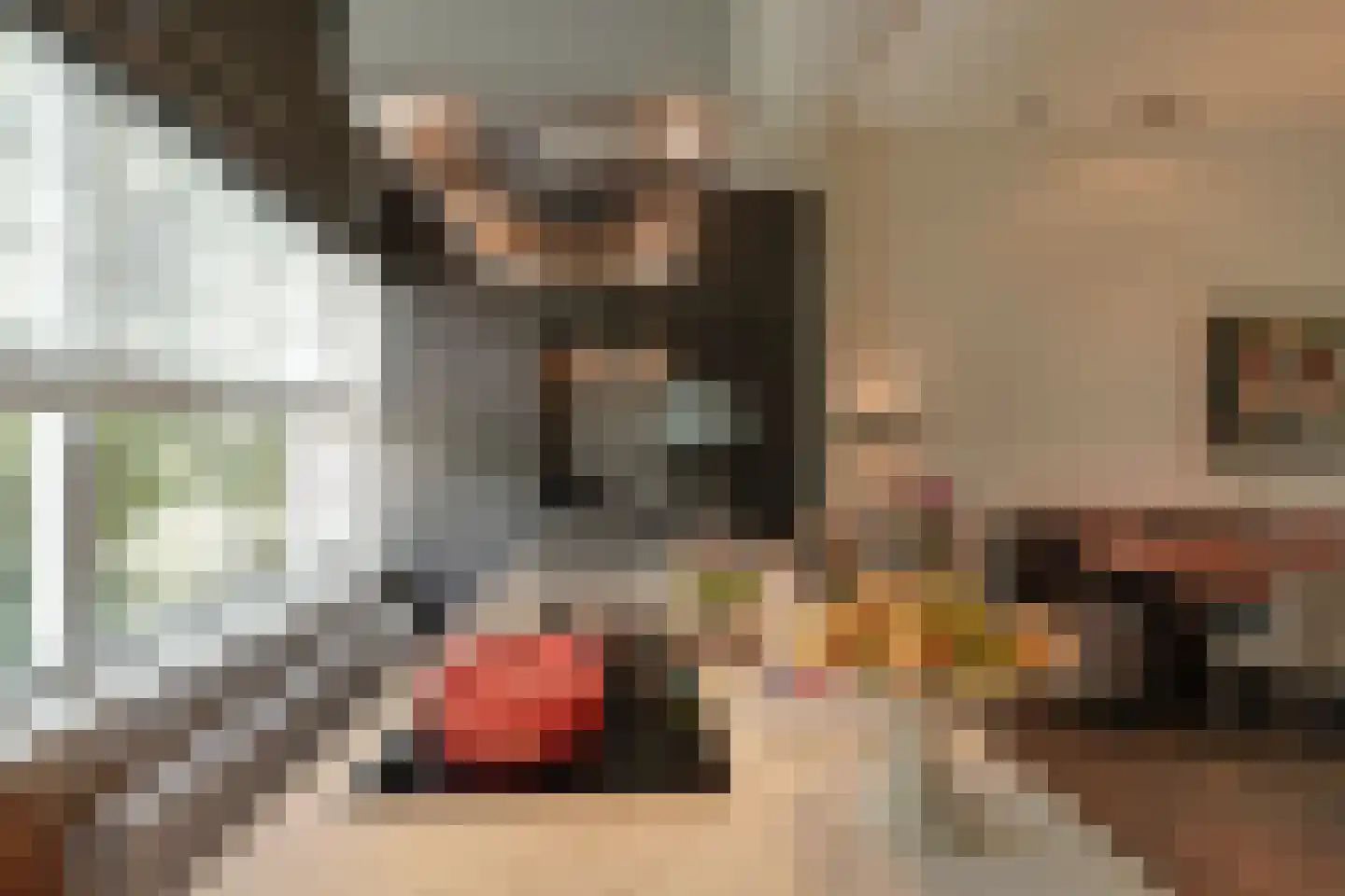 Valeriusplein 24 Amsterdam thumbnail 9