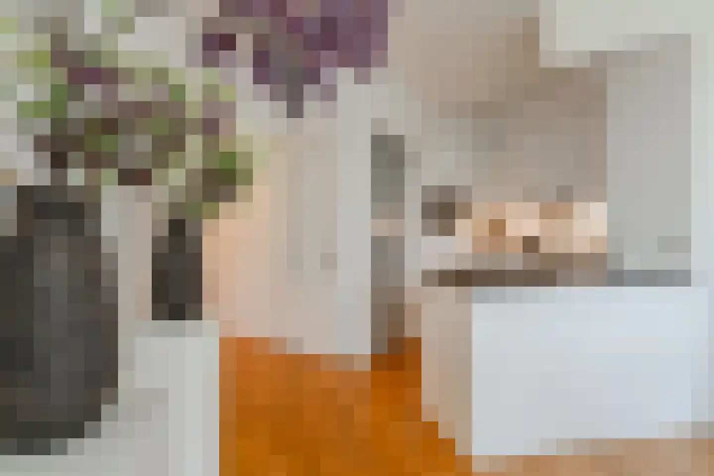 Valeriusplein 28 H Amsterdam thumbnail 15