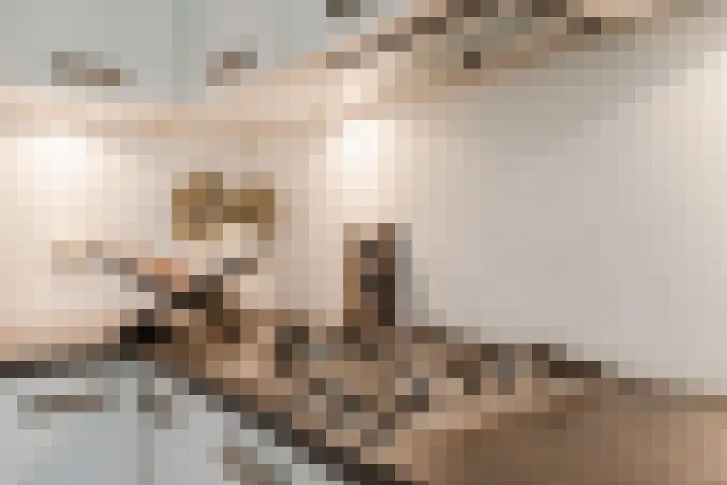 Valeriusplein 28 H Amsterdam thumbnail 19