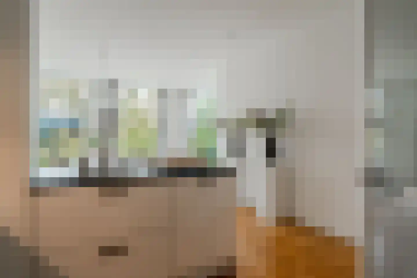Valeriusplein 28 H Amsterdam thumbnail 21