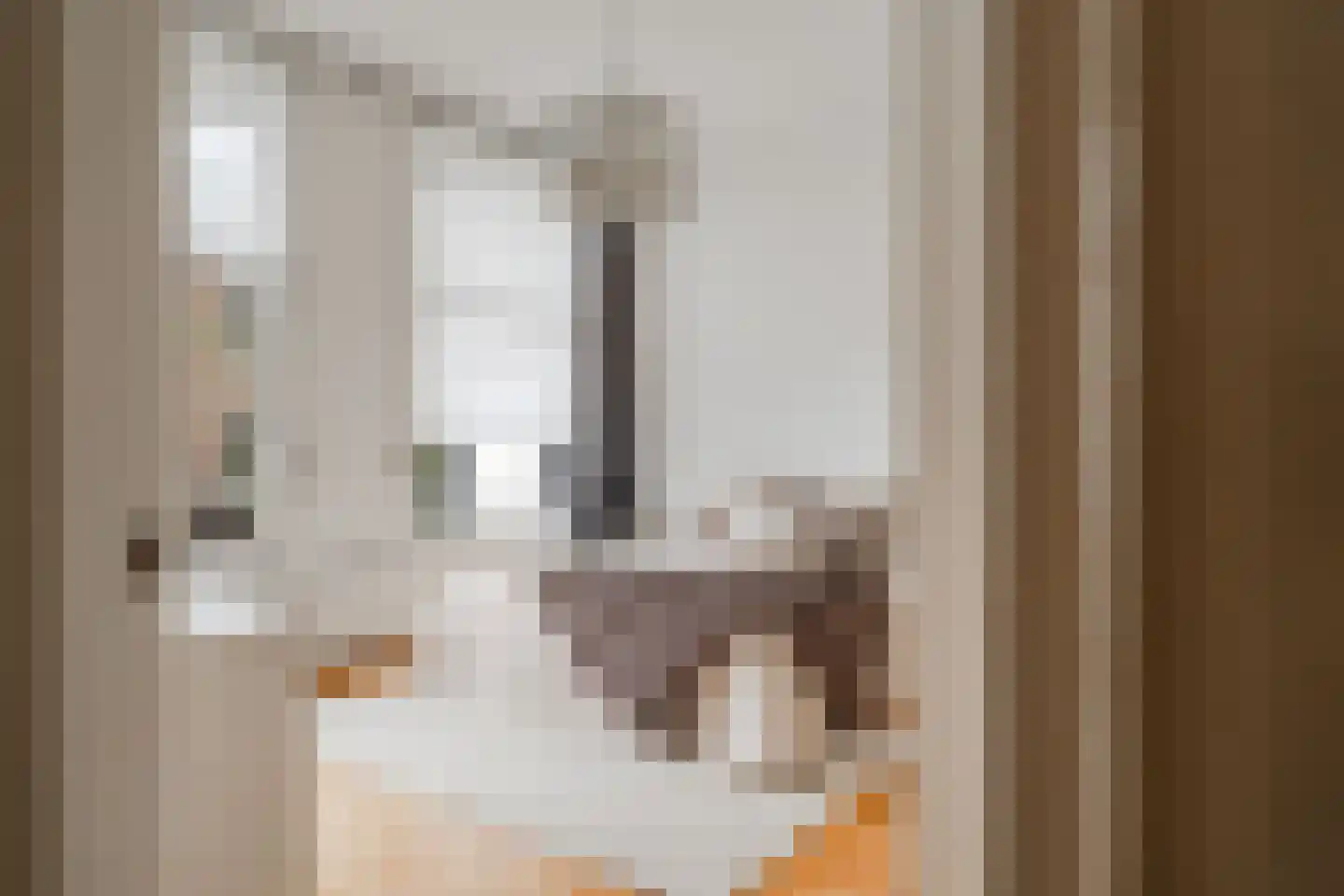 Valeriusplein 28 H Amsterdam thumbnail 29