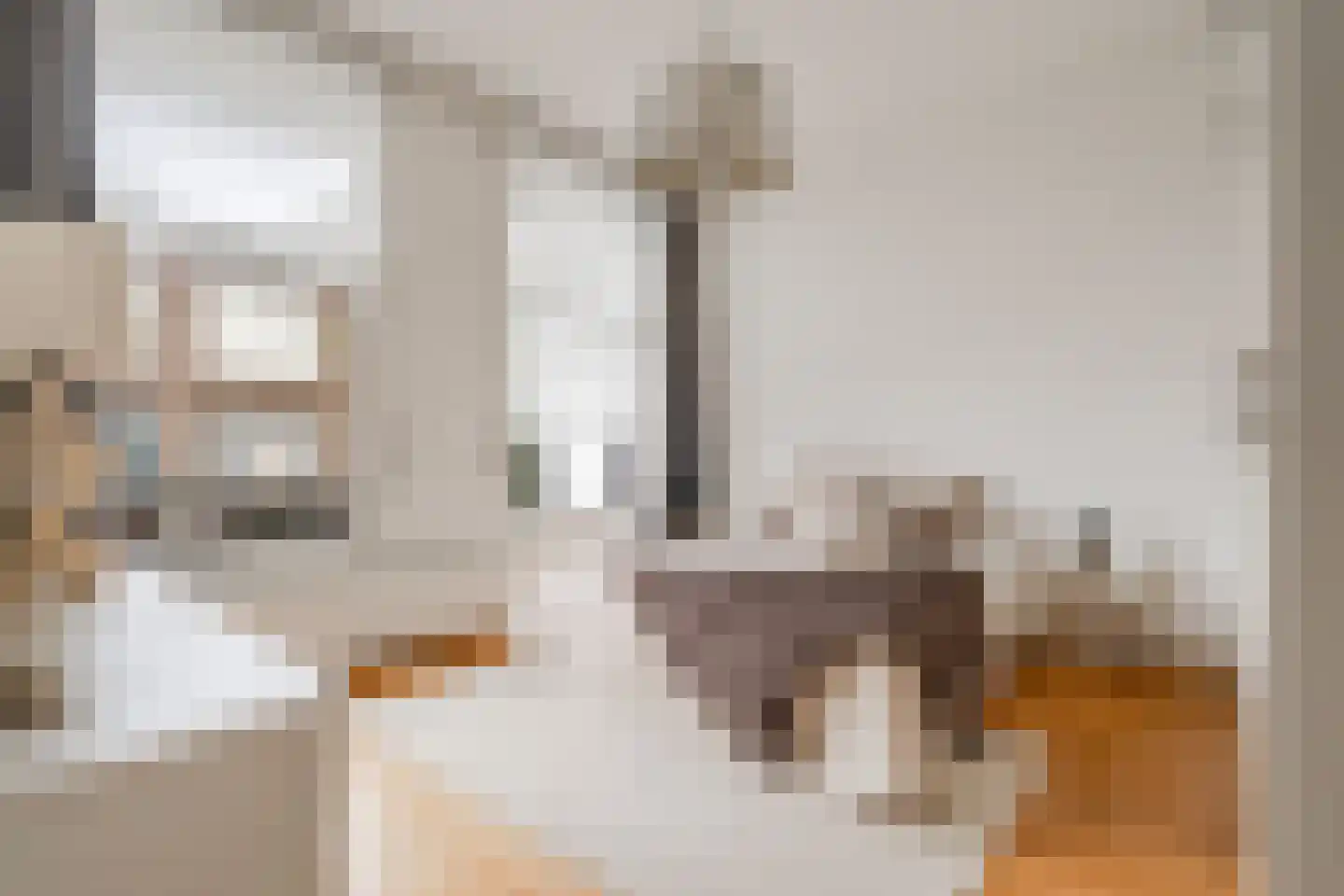 Valeriusplein 28 H Amsterdam thumbnail 30