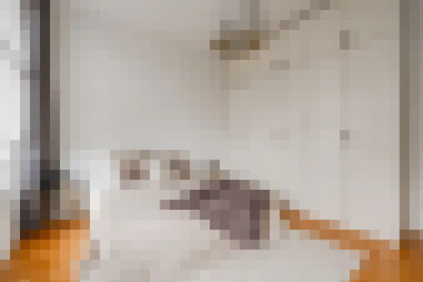 Valeriusplein 28 H Amsterdam thumbnail 31
