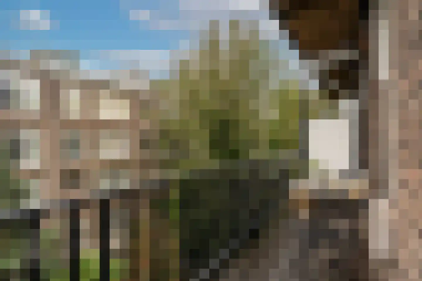 Valeriusplein 28 H Amsterdam thumbnail 39