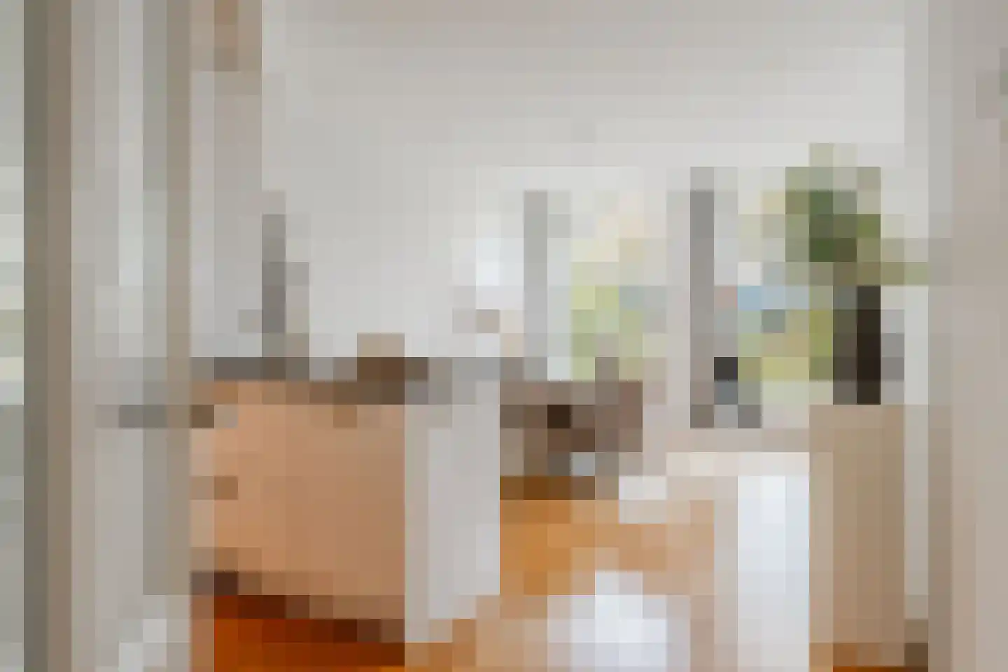 Valeriusplein 28 H Amsterdam thumbnail 44