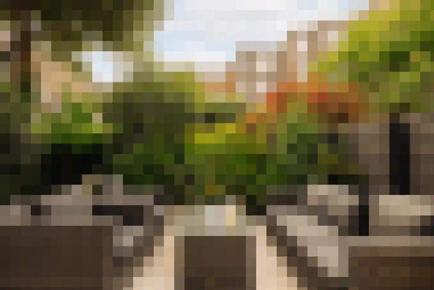 Valeriusplein 34 Amsterdam thumbnail 14