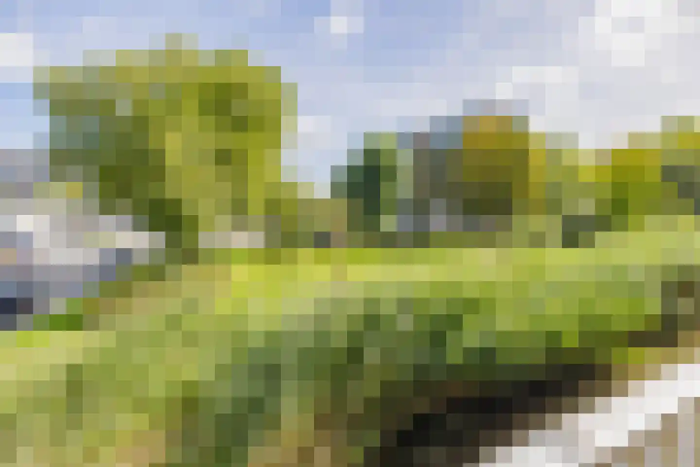 Valeriusplein 342 Alphen aan den Rijn thumbnail 23