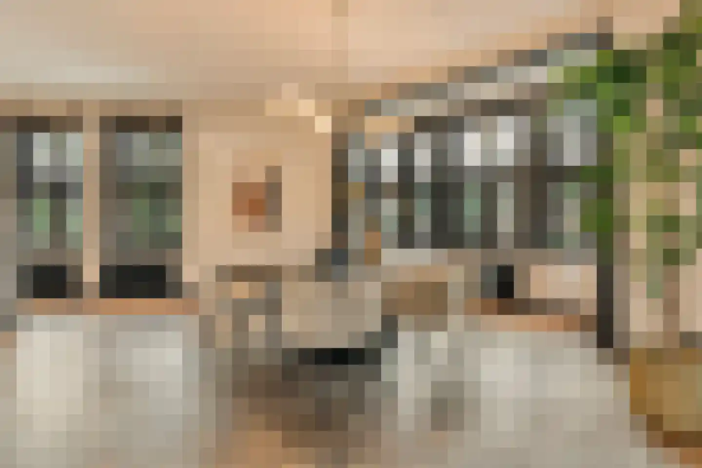 Valeriusplein 40 1 Amsterdam thumbnail 10