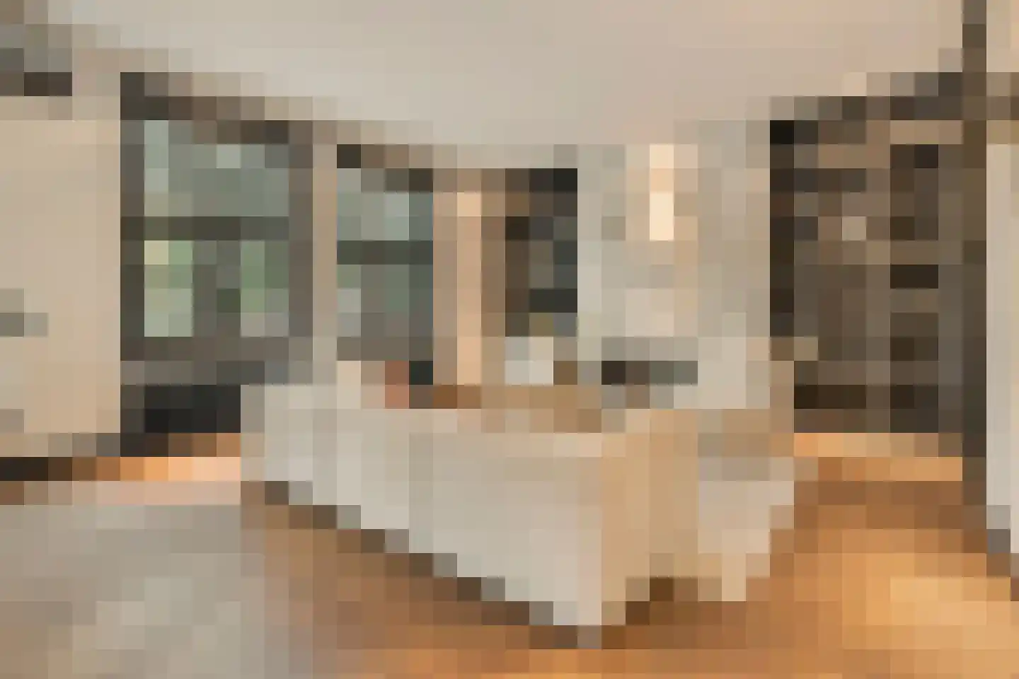 Valeriusplein 40 1 Amsterdam thumbnail 9