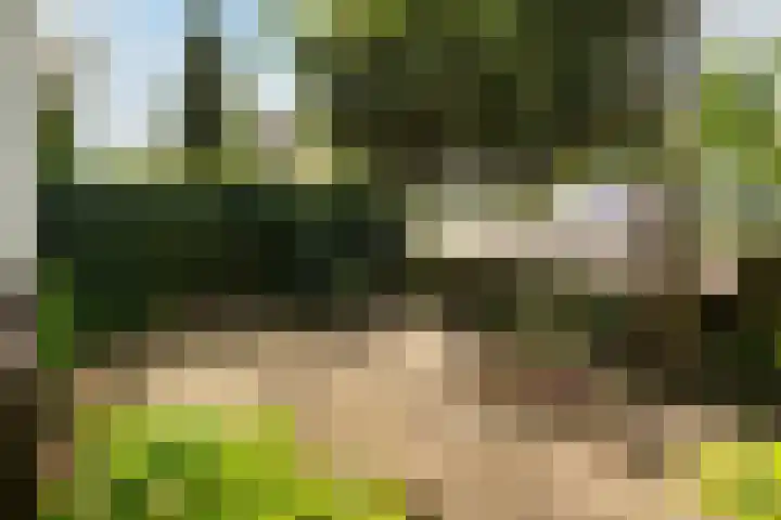 Valeriusplein 5 Leeuwarden thumbnail 14