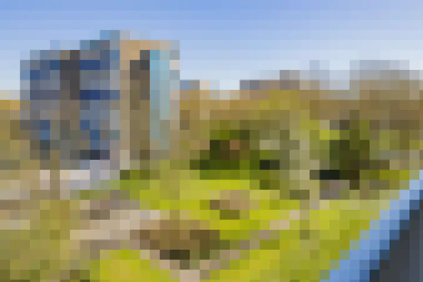 Valeriusplein 66 Alphen aan den Rijn thumbnail 20