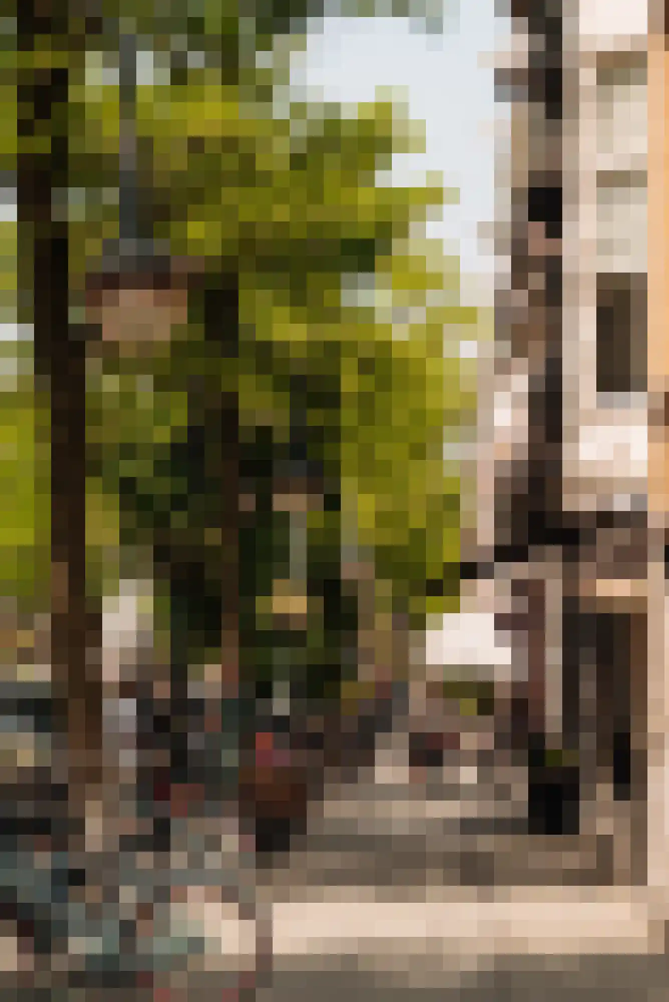 Valeriusplein 9 B 1 Amsterdam thumbnail 45