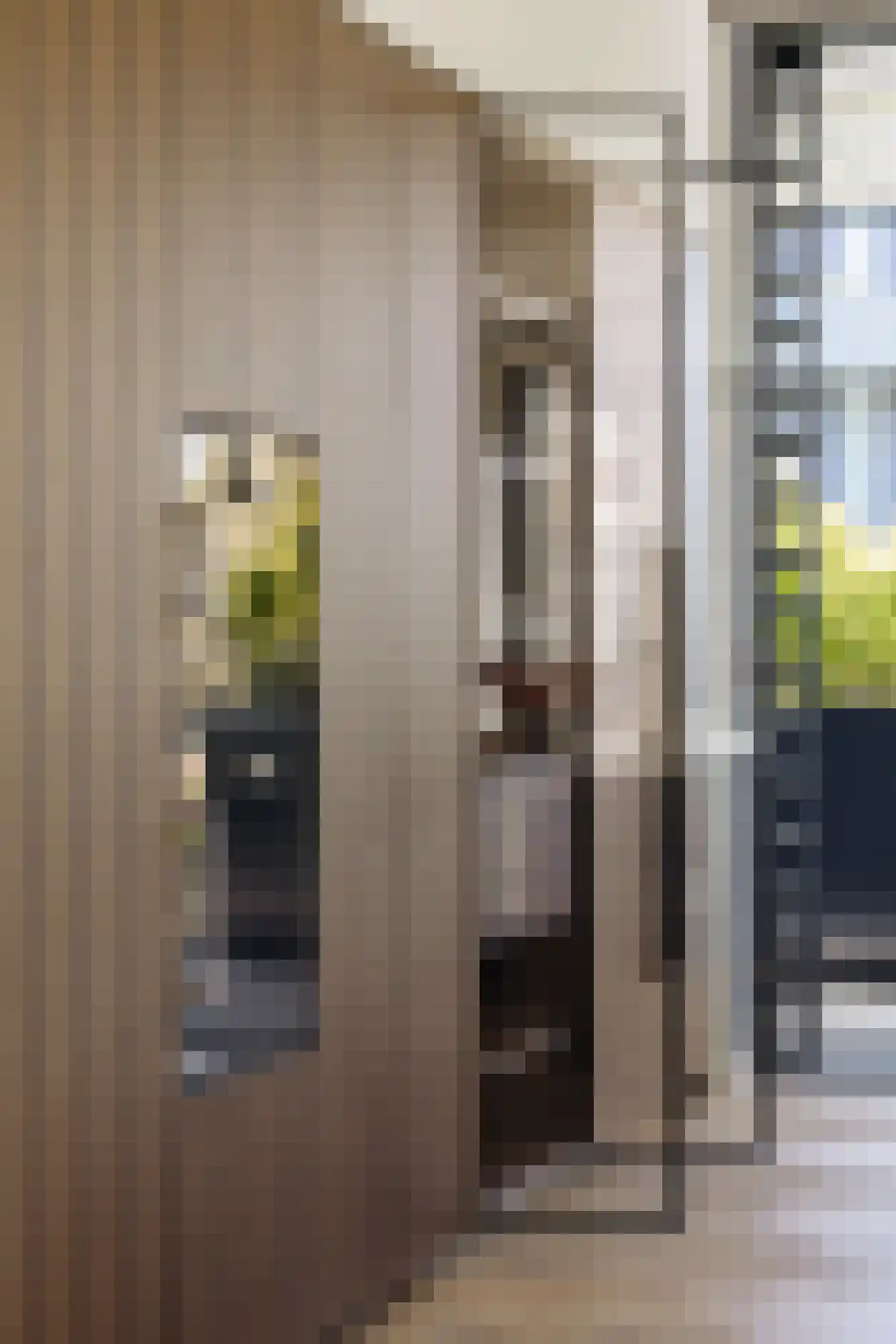 Valeriusplein 9 B 1 Amsterdam thumbnail 6
