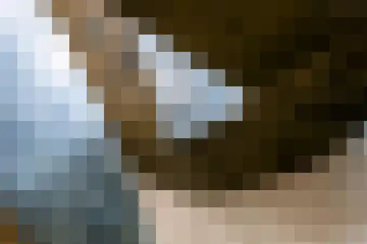 Valeriusplein 9 E 2 Amsterdam thumbnail 15