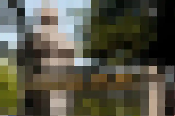Valeriusplein 9 E 2 Amsterdam thumbnail 21
