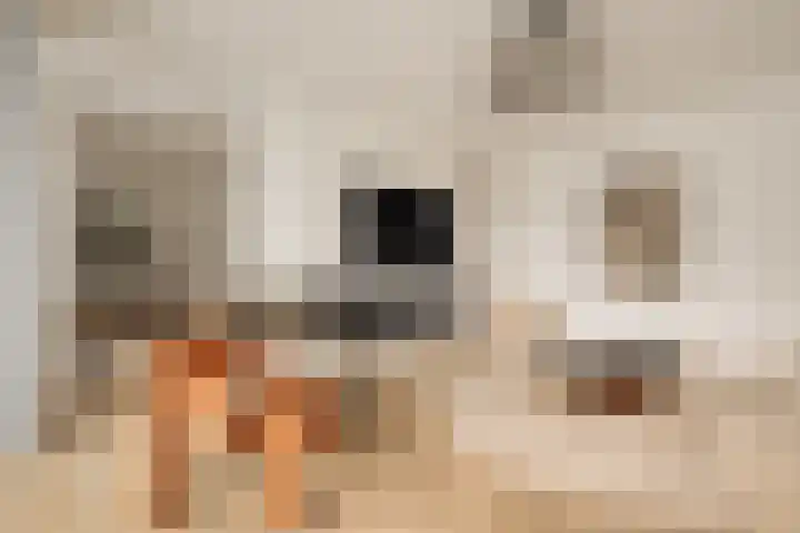 Valeriusplein 9 E 2 Amsterdam thumbnail 5