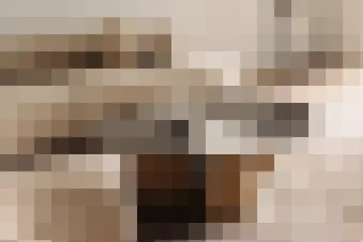 Valeriusplein 9 E 2 Amsterdam thumbnail 9