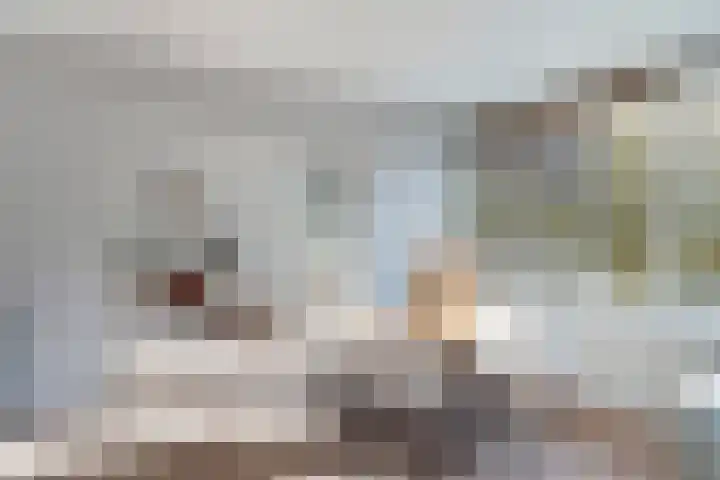 Valeriusplein 90 Alphen aan den Rijn thumbnail 5