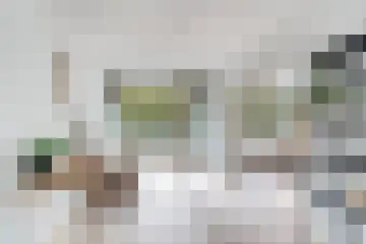 Valeriusplein 90 Alphen aan den Rijn thumbnail 6