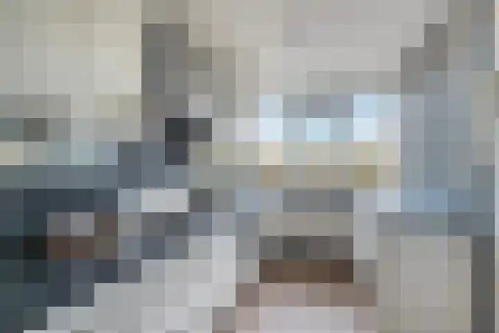 Valeriusplein 90 Alphen aan den Rijn thumbnail 9