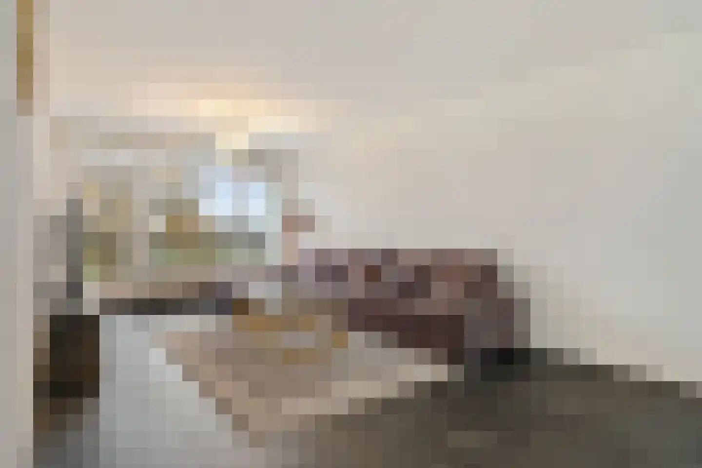 Valeriusrondeel 10 Capelle aan den IJssel thumbnail 13